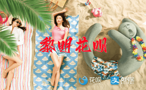应接不暇花呗